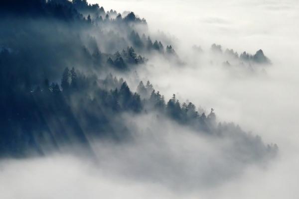 凡是大富大贵之人长得像女人 鼻头有肉则财禄丰厚