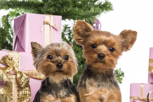 2023年天蝎座6月提运指南分析 怎么做可以发财？  　　