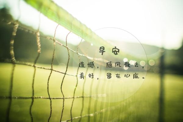 2023年十二星座运势完整版 发展稳定 收获不断