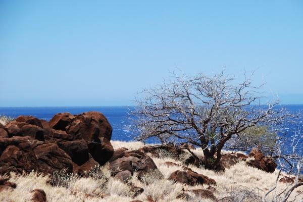 三个字好听的公司名称 3个字有创意公司名字