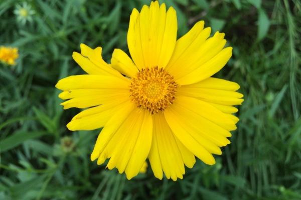 吸引人气的搬家公司名字大全 最响亮的搬家公司名字