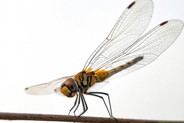 2022年4月生娃吉利日子 本月哪几天适合生孩子呢