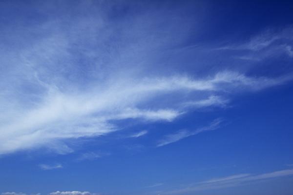 Alex  年运 | 2023年，12星座桃花运势排行榜