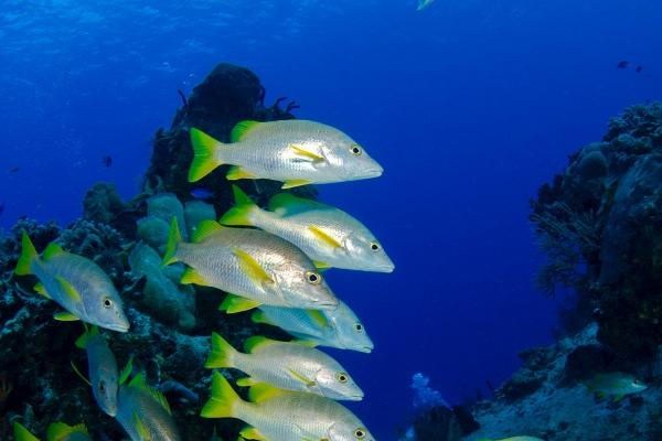 3字公司名字大全霸气 好听的公司名字大全