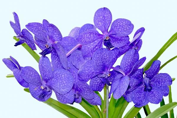 水瓶座2023年提运指南6月情况 突破自己  　　