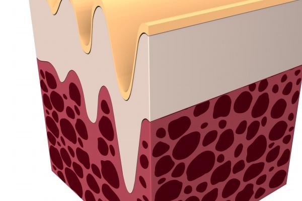 什么男人面相最疼老婆 眉粗压目会用心呵护老婆