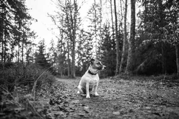 判答 双鱼座本周运势详细解读2.13-2.19