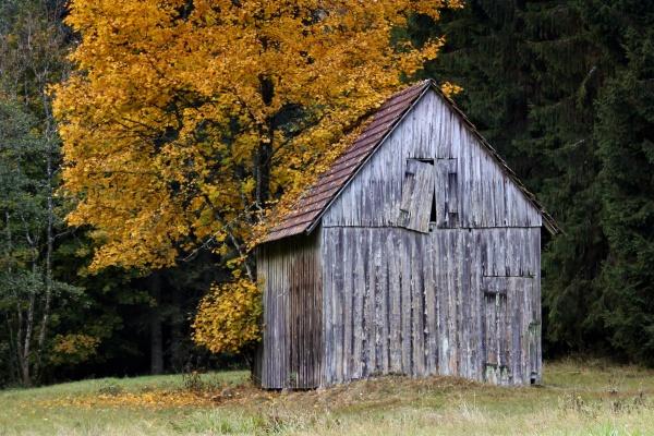 心思最阴毒的男人面相 喜欢暗箭伤人耍阴谋诡计