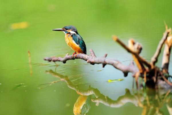 唐立淇 2023上半年桃花运排行榜TOP3