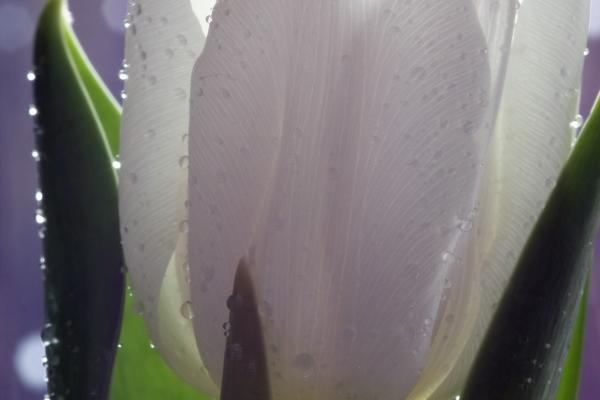 唐立淇 每日星座运势2.13