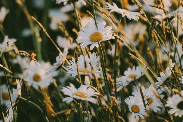 2023年农历2月哪天出生的宝宝好 生子吉日查询