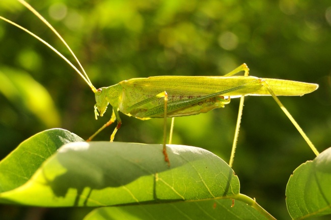 静电鱼 十二星座【周运2月13-19日】