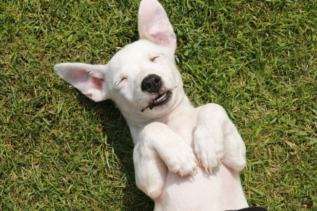 判答 水瓶座本周运势详细解读2.13-2.19