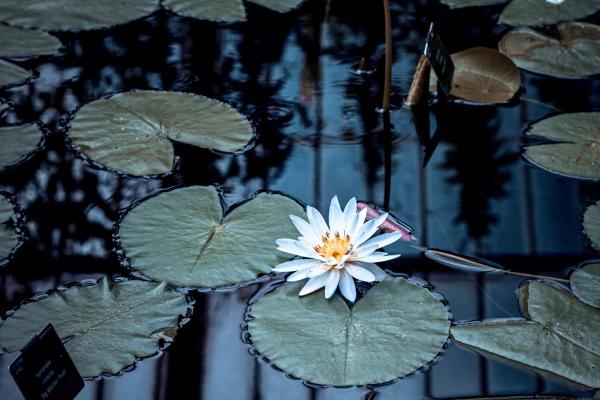 射手座2023年运势运程 感情发展不理想