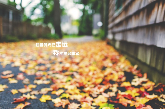 判答 白羊座本周运势详细解读2.13-2.19