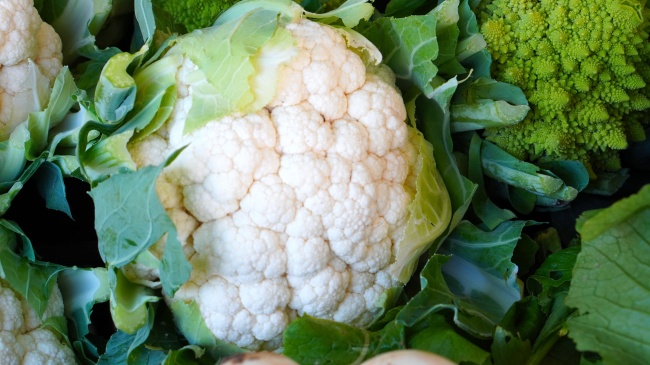 判答 巨蟹座本周运势详细解读2.13-2.19