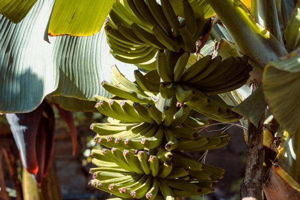 闹闹女巫 2023学业运最好的星座，考试、留学、拿证一把过