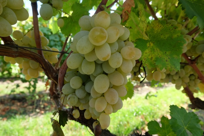 唐立淇 一周运势2.13-2.19