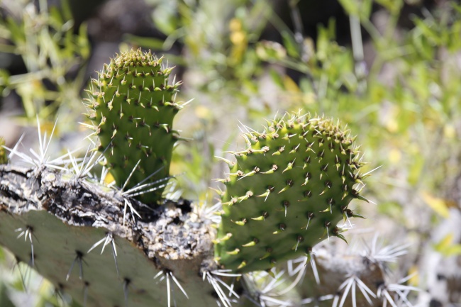 2023年3月18日五行穿衣查询 适合穿什么