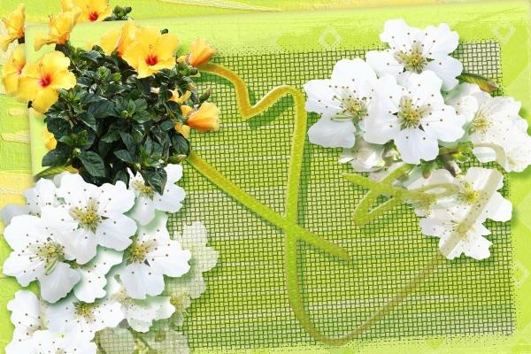 2023年双子座爱情运势分析 有什么建议