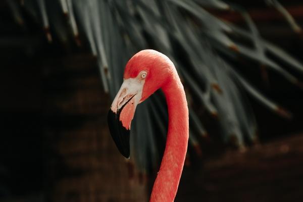 2023年正月二十四出门好不好 适合出行吗