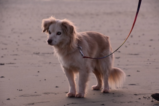 2023年4月1日是结婚的黄道吉日吗 今日结婚则将来多子又多孙