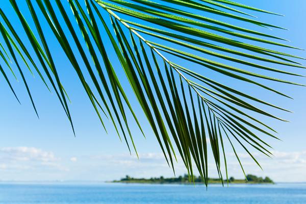 白羊座2023年9月婚姻运走向 发展情况