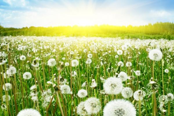 狮子座2023年9月婚姻运走向 最新全解