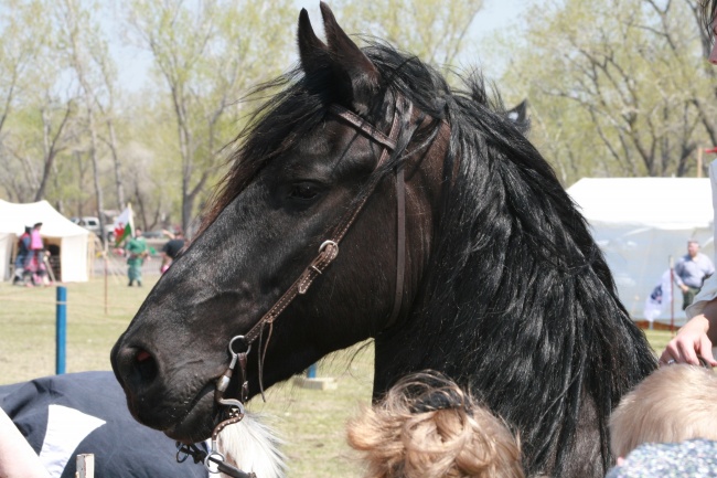 紫微斗数看女人美貌 紫微斗数看女命魅力