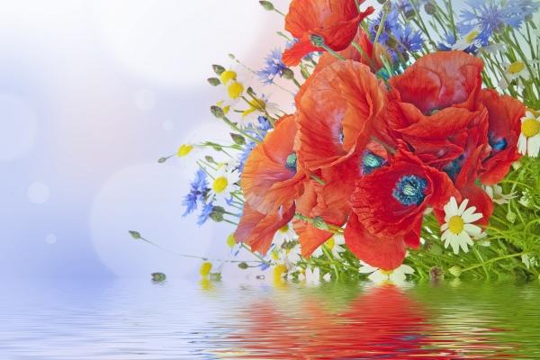 白羊座2023年8月桃花运走向  有何爱情建议