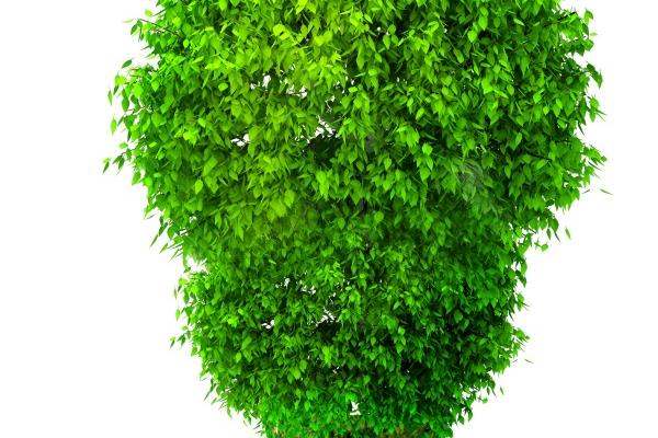 2023年4月4日嫁娶吉日一览表 今日结婚能否海石山盟皆缱绻