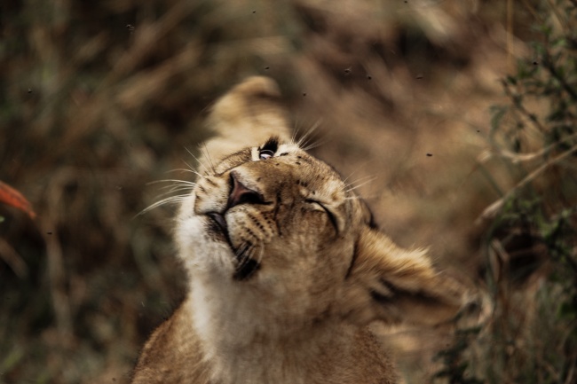 进出口贸易公司名字大全 贸易公司起名大全免费