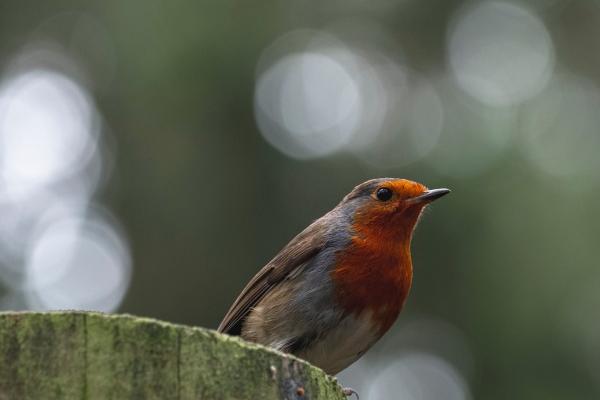 天秤座2023年婚姻运9月情况 发展方向