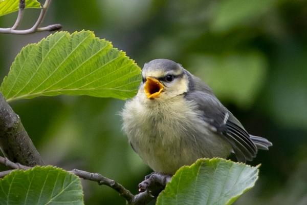大气的外贸公司名字 外贸公司取什么名字好