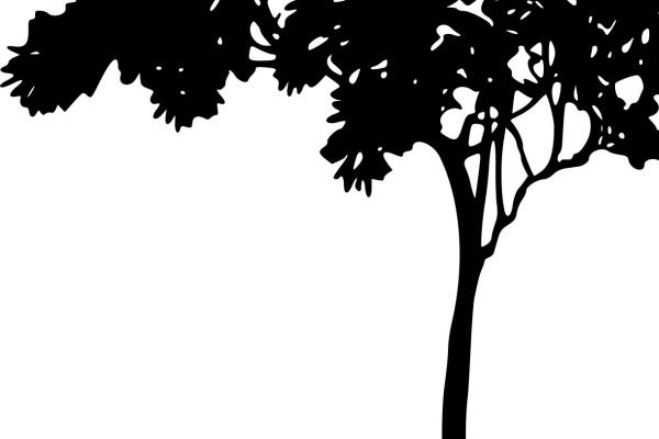 双子座2023年婚姻运9月情况 旺上加旺