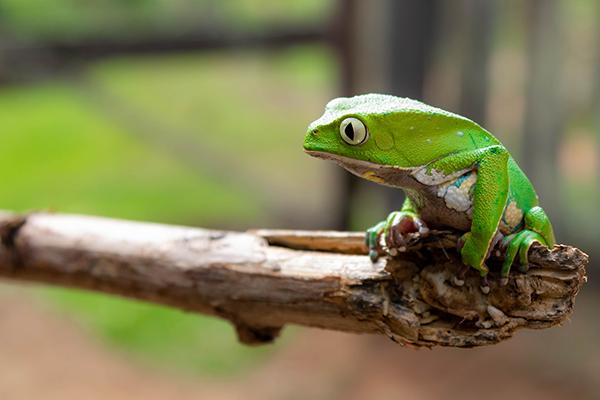 小乖麻  本周运势提醒（2023/2/13—2/20）