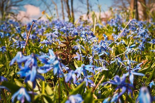 水瓶座撒谎时啥模样?沾沾自喜默默偷笑