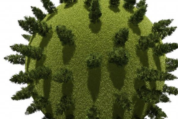 唐立淇  每日星座运势2.15