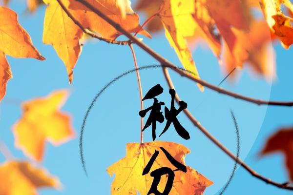 为什么龙抬头出生女生很少 龙抬头是什么