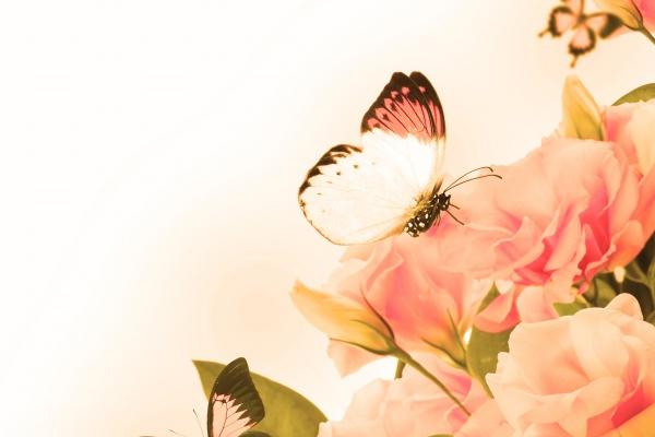 处女男的坏脾气你知道？不太有脾气