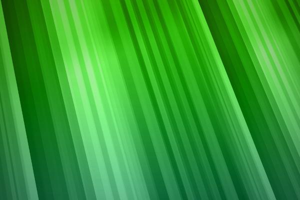 天秤女魅力养成记 书香气质