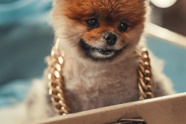 天蝎男的坏脾气你知道？不太有脾气