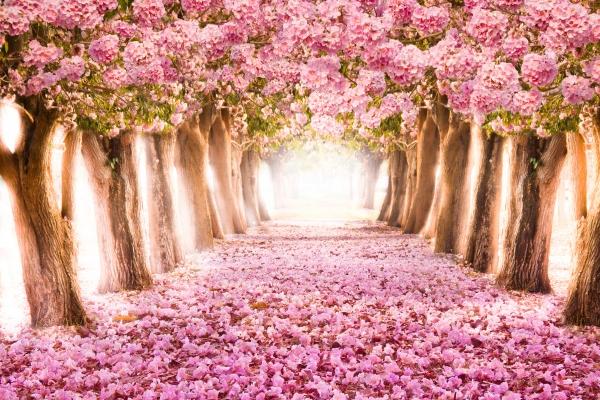 附庸风雅 爱立斯文君子人设的星座男