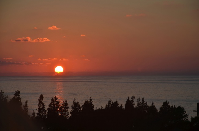 2023年天蝎座8月桃花运分析 详细大盘点