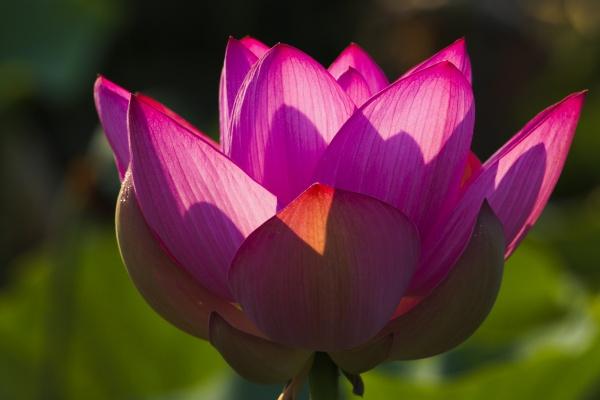 2023旺生意的店铺名字怎么取 寓意吉祥 诗意满满