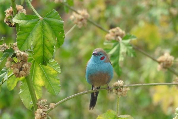 2023年4月5日搬家日子好不好 今日搬家则莺迁乔木报佳音