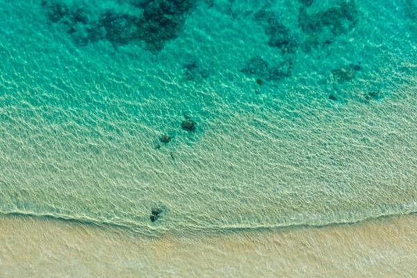 天蝎女魅力养成记 万人迷气质