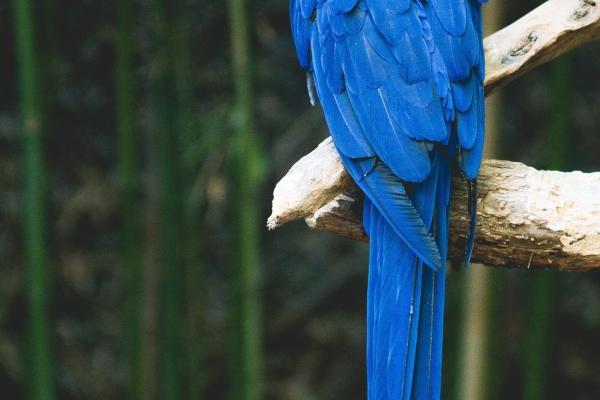 2023年龙抬头出生的女孩命运怎样 平生良善自有持衣禄增荣盛有余