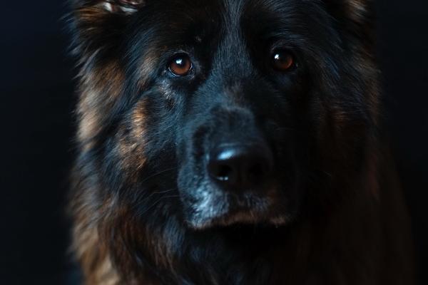 天秤座2023年桃花运8月情况 感情建议