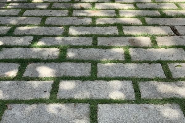 2023年3月生娃吉利日子查询 本月出生好不好